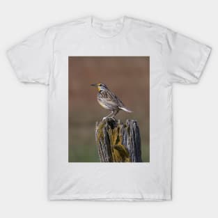 Eastern Meadowlark T-Shirt